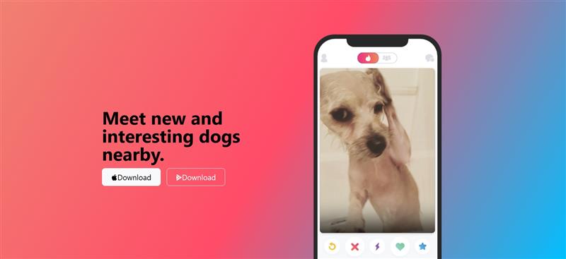 TinDog website screenshot