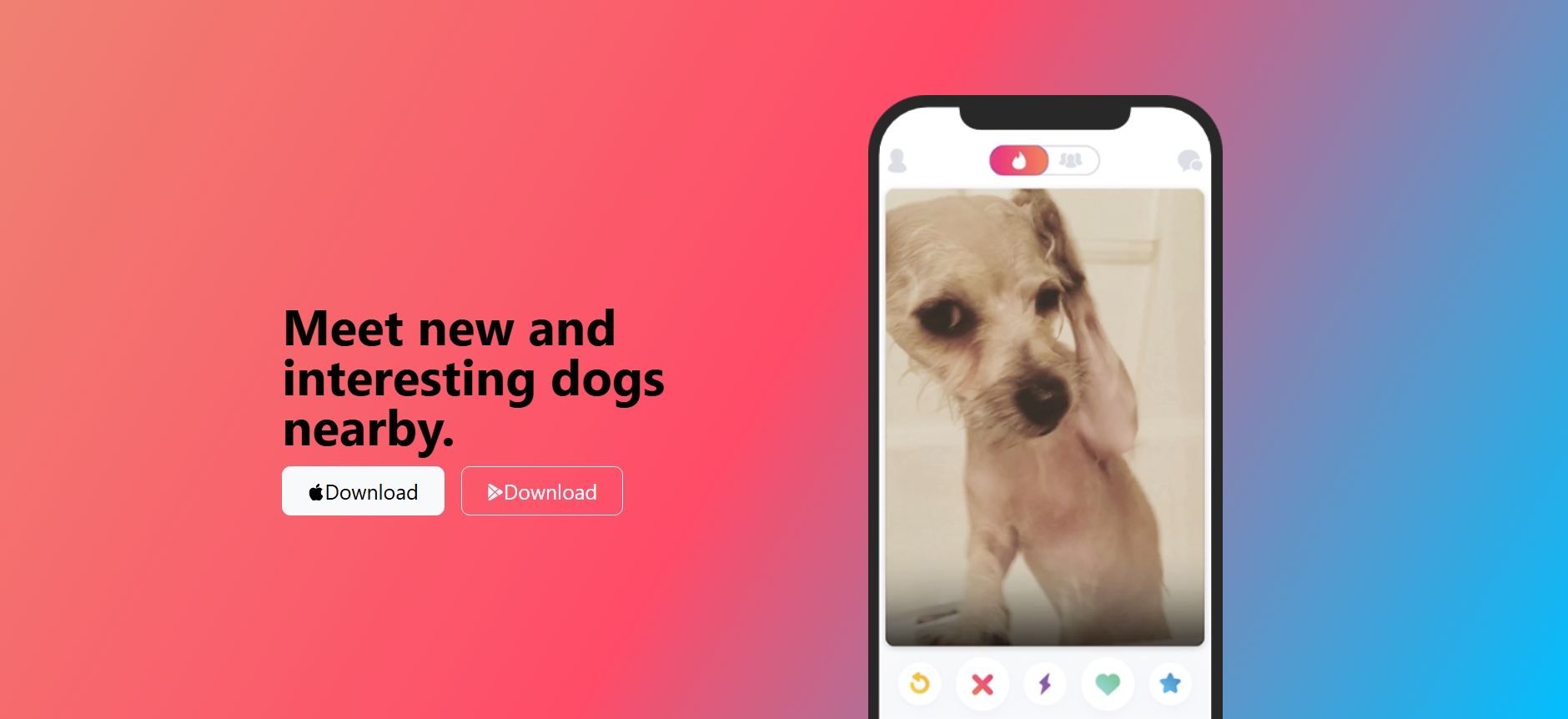 tindog website screenshoot
